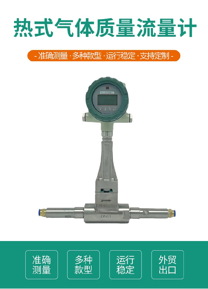 熱式氣體質量流量計